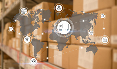 政府采購系統的主要功能有哪些？